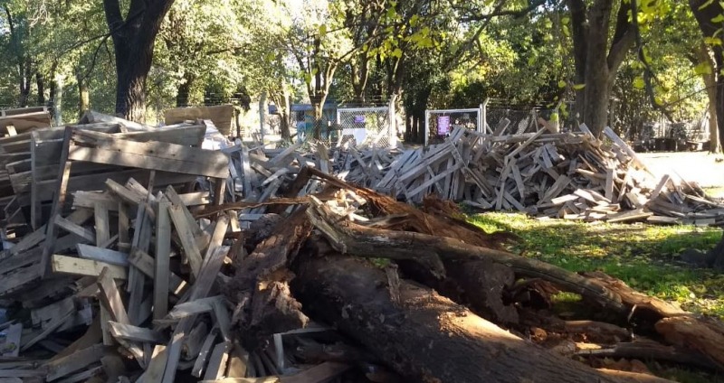 El Banco de Le�a Municipal alcanz� a m�s de 450 familias